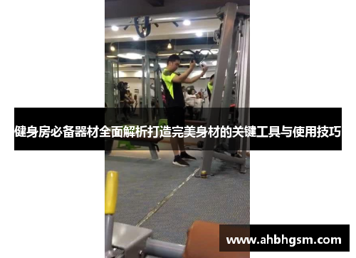 健身房必备器材全面解析打造完美身材的关键工具与使用技巧